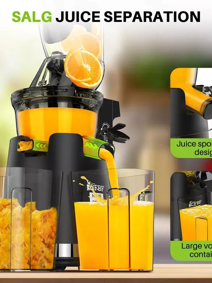 300W Slow Masticating Juicer Machines product image (1)