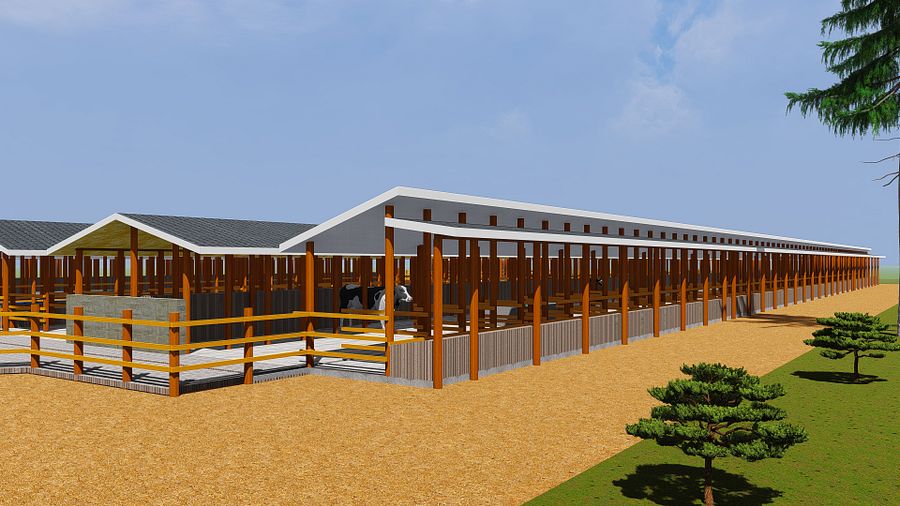 120 Dairy Cows Design Plan product image (6)