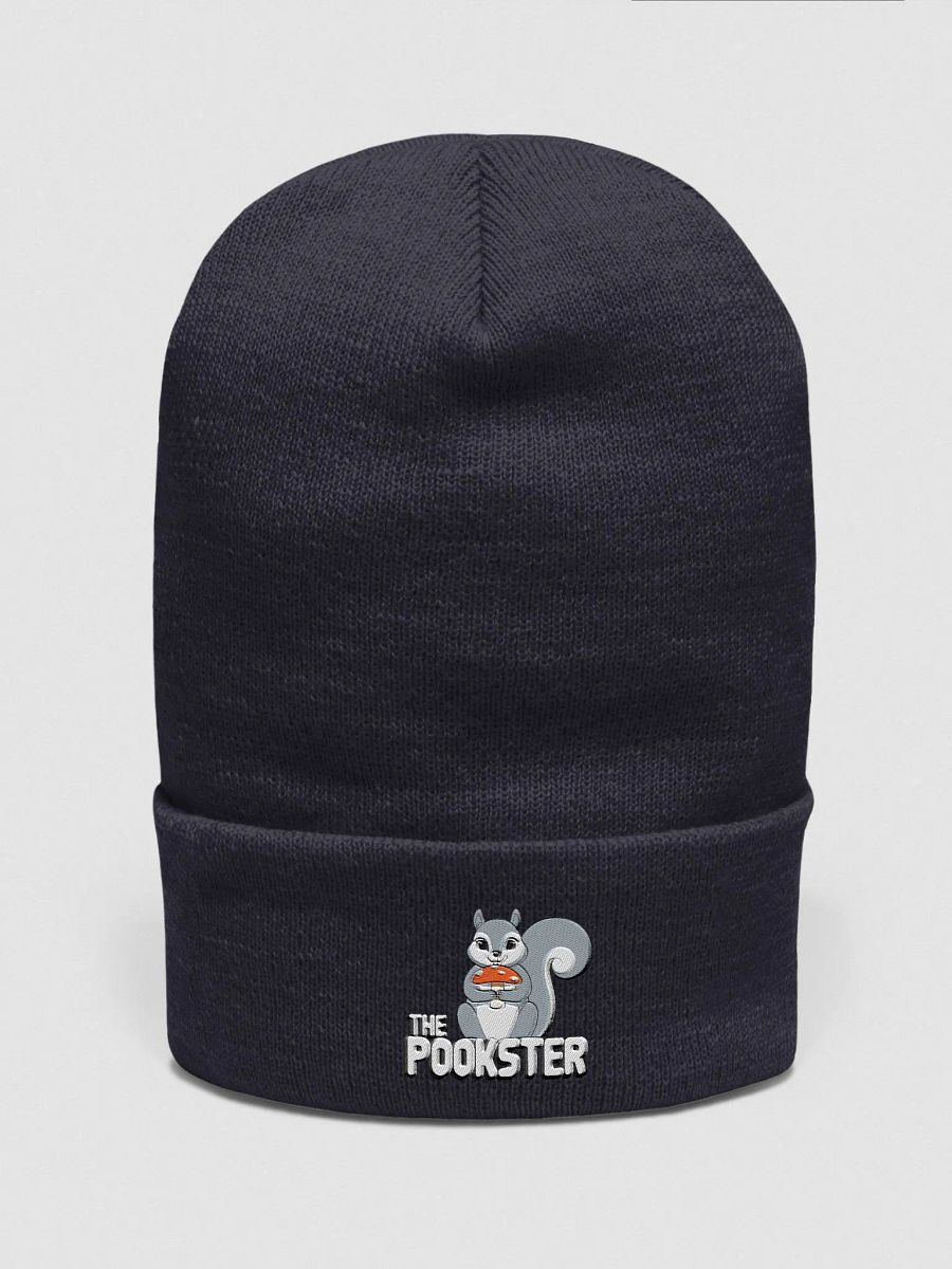 The Pookster Cuffed Beanie product image (1)