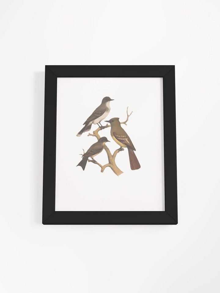 Birds in Winter product image (2)