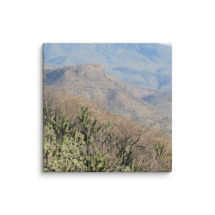 Historic Coonabarabran NSW Fire Canvas product image (1)
