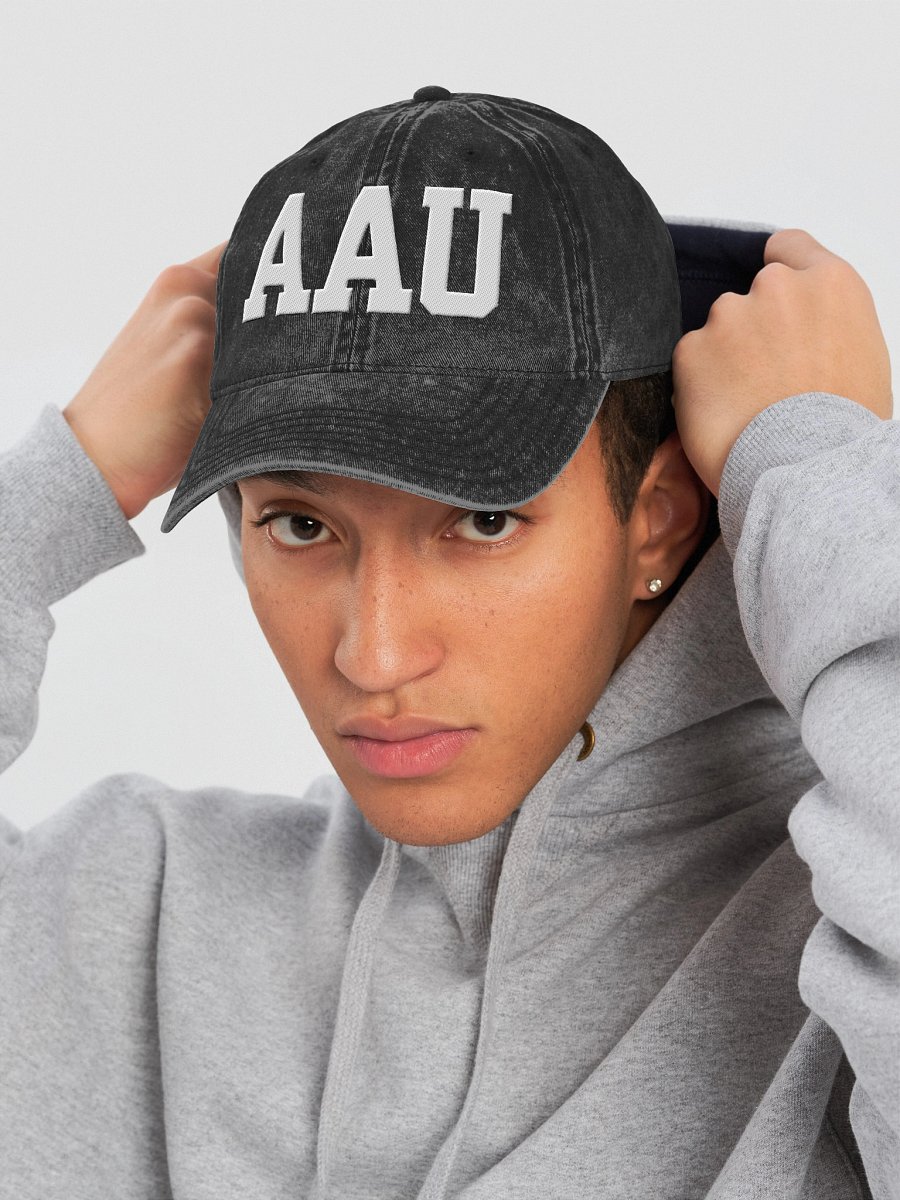 AAU Vintage Dad Hat product image (21)