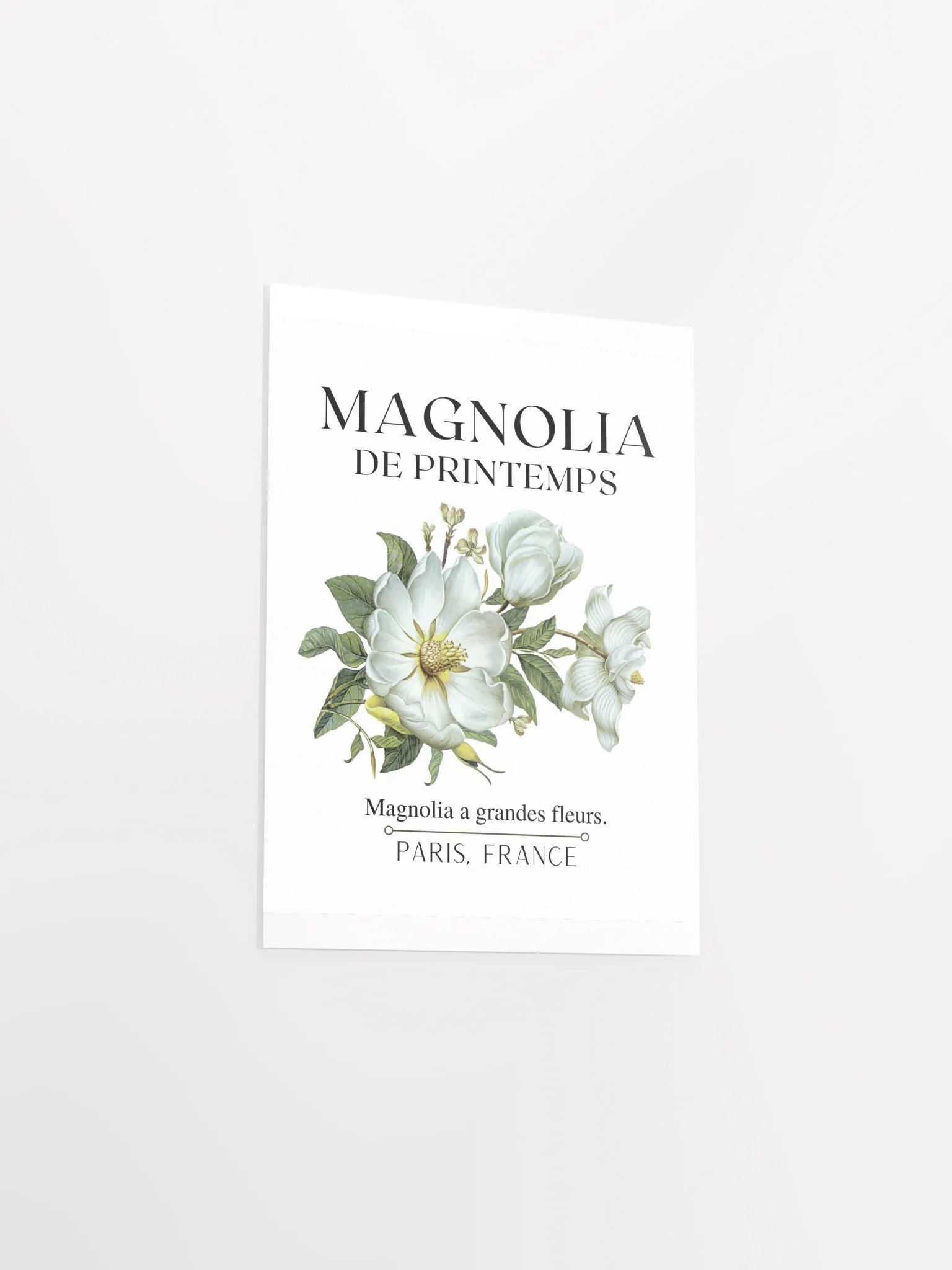 FLORAL PRINT- MAGNOLIA product image (17)