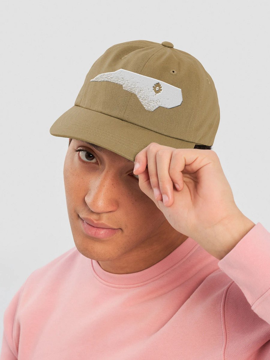 A+O State Outline Dad Hat product image (35)