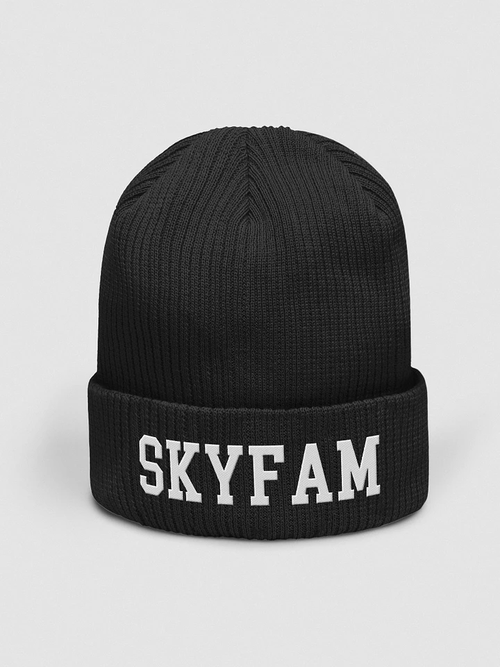 ItsSky beanie for cool people product image (1)