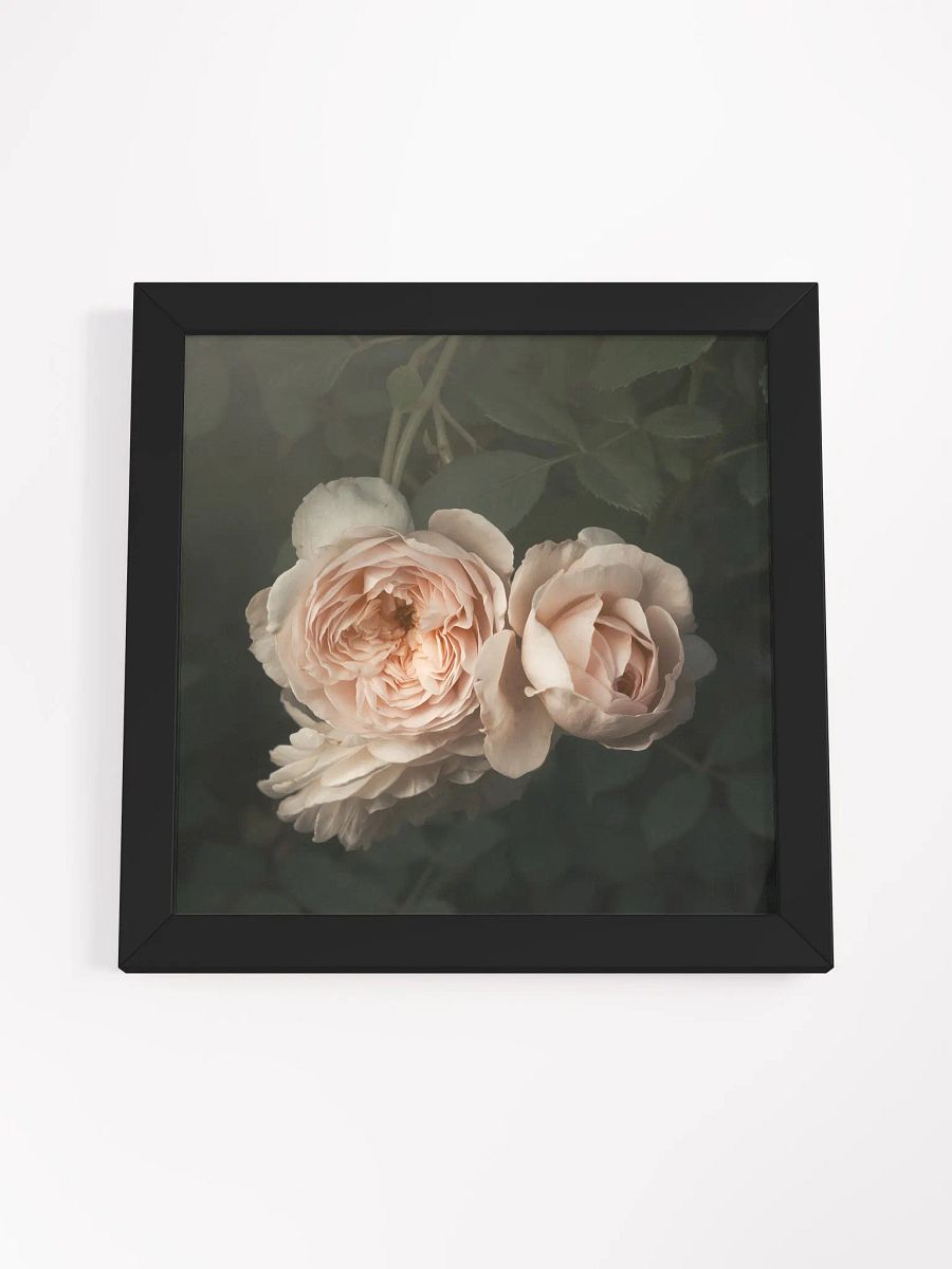 Blush of Summer product image (4)