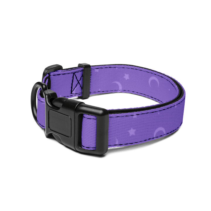 Witch's Hat Collar product image (2)
