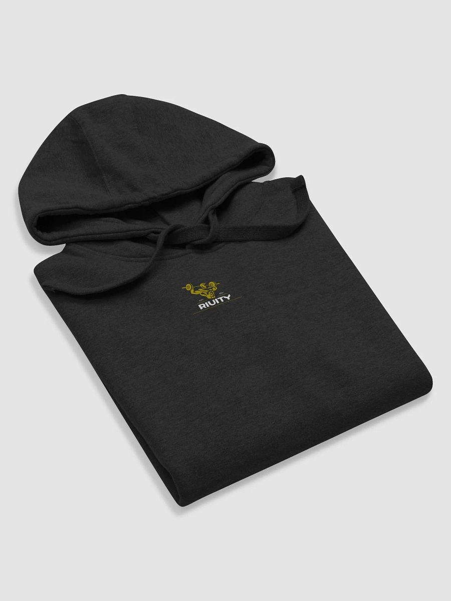 Riuity Club Hoodie product image (5)