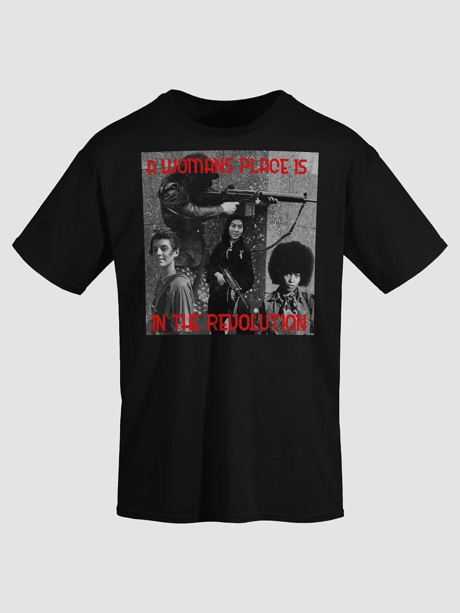 A WOMANS PLACE T-Shirt product image (1)