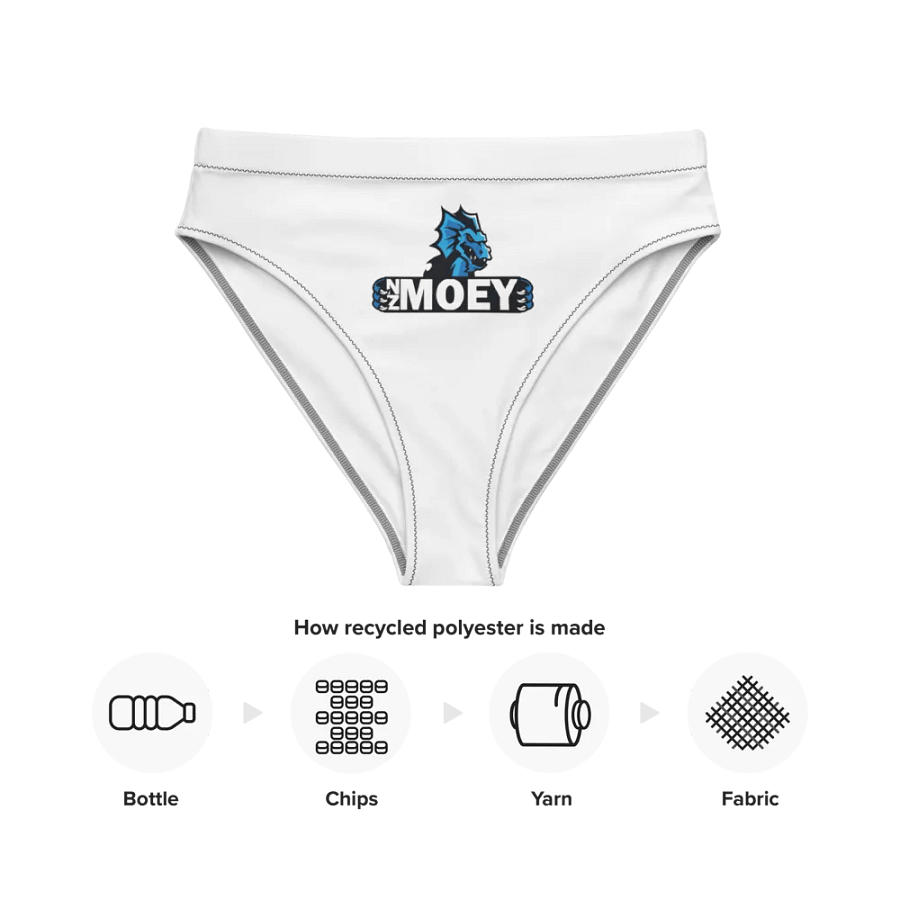 NZMOEY Recycled High Waisted Bikini Bottom product image (12)