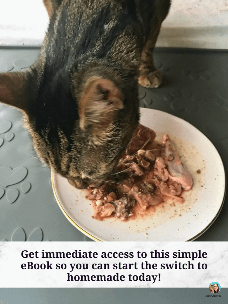 Fresh Cat Food Recipes eBook ~ Raw and Cooked Meals for Adult Cats product image (6)