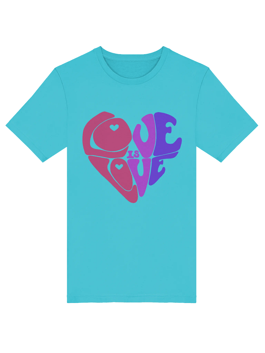 Bisexual Love is Love big print tee product image (5)