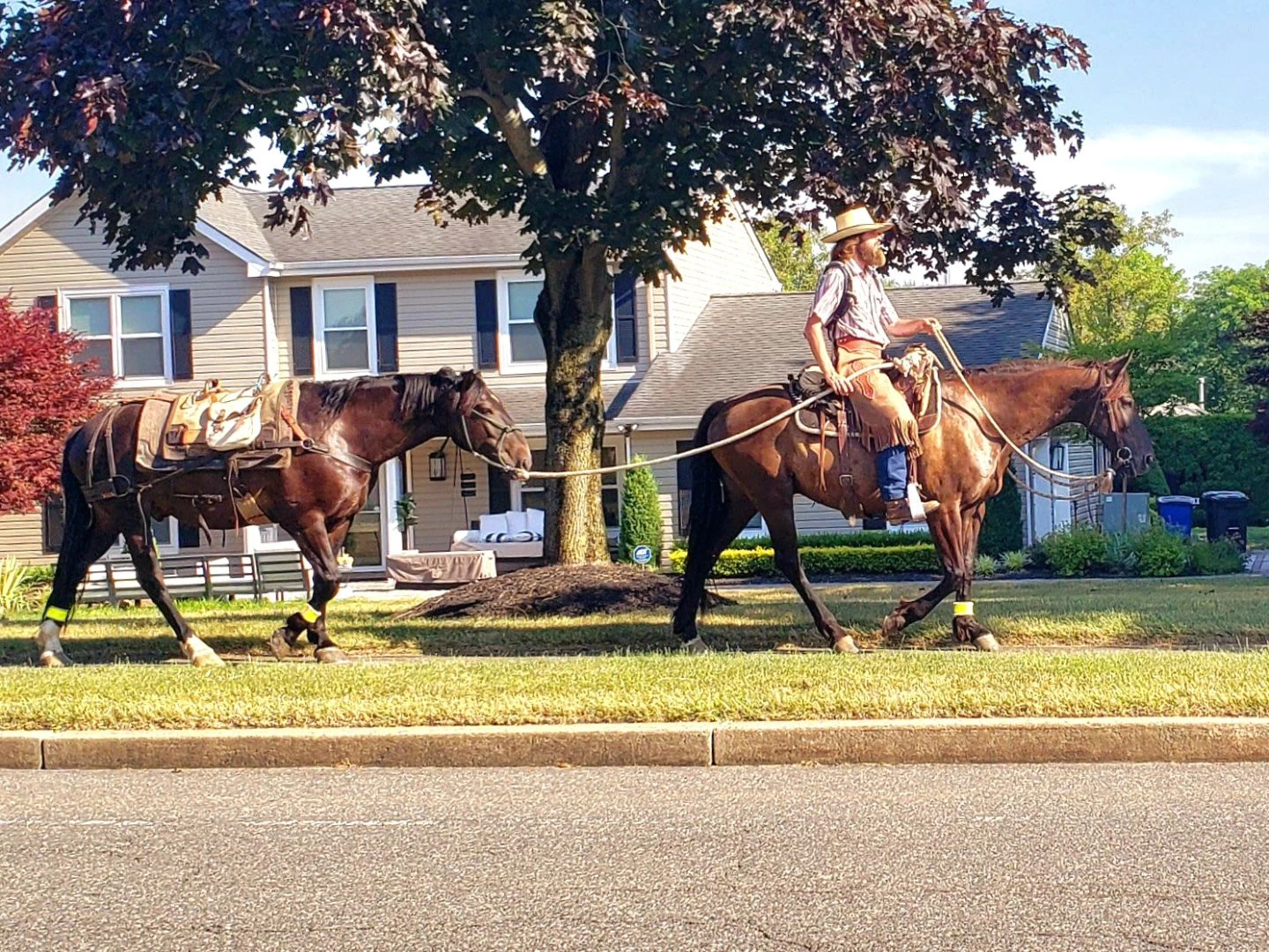 Imagine waking up to this on a Saturday morning. 🤣
#horse #horses #cowboy #outdoors