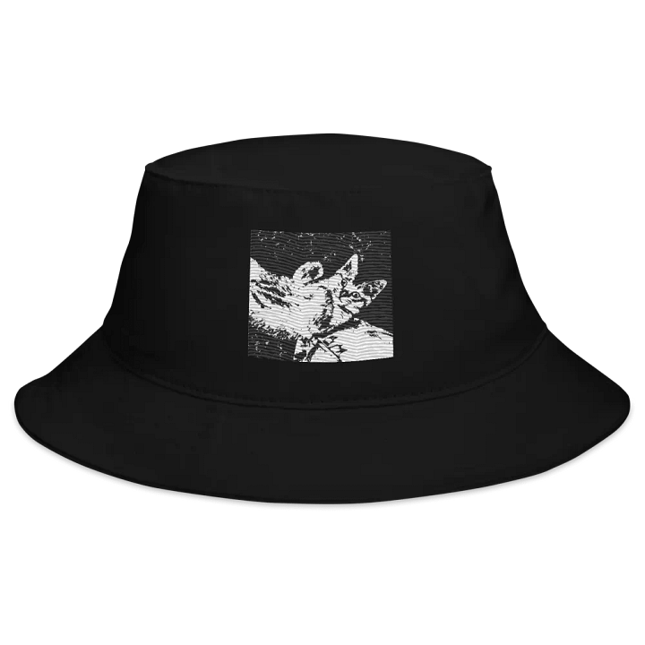 Toby's Hat product image (2)