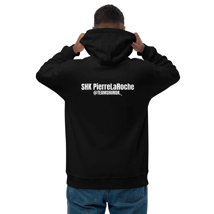 PREMIUM: Pull PierreLaRoche Team Shurok product image (3)