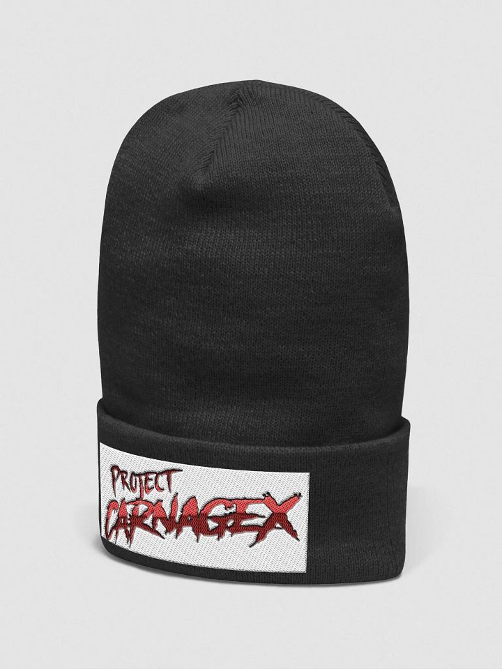 Beanie product image (2)