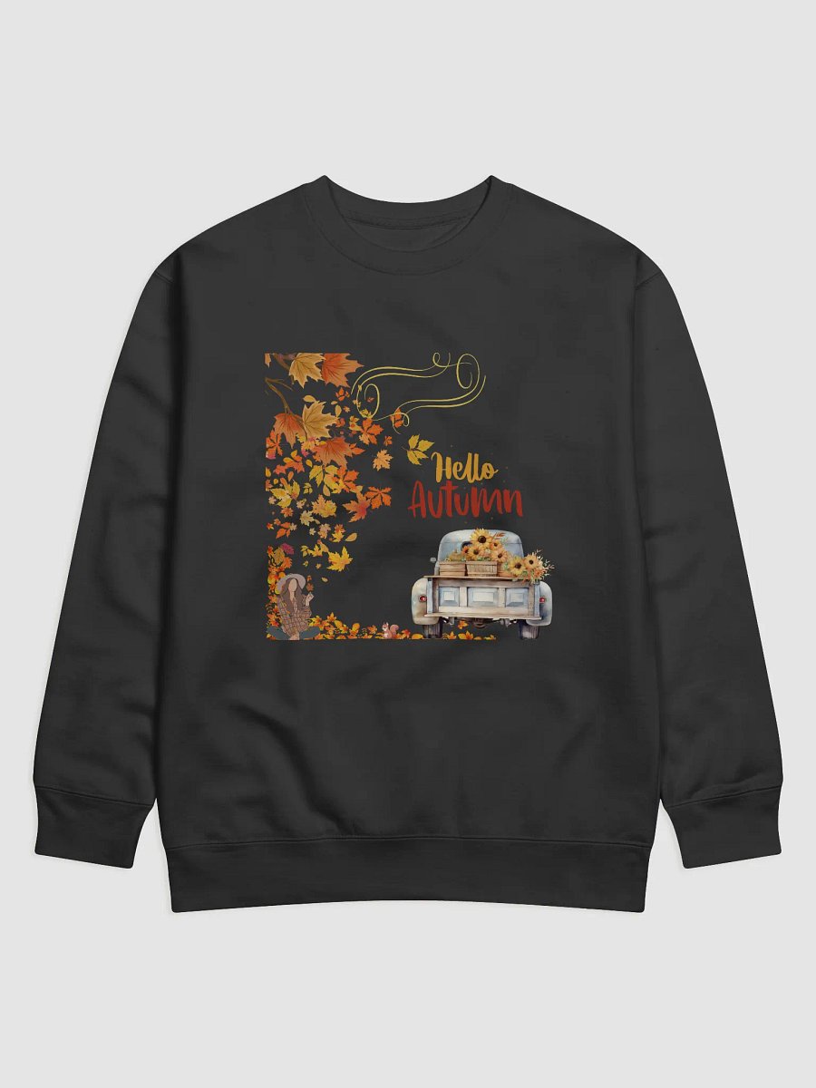 Autumn sweater product image (3)