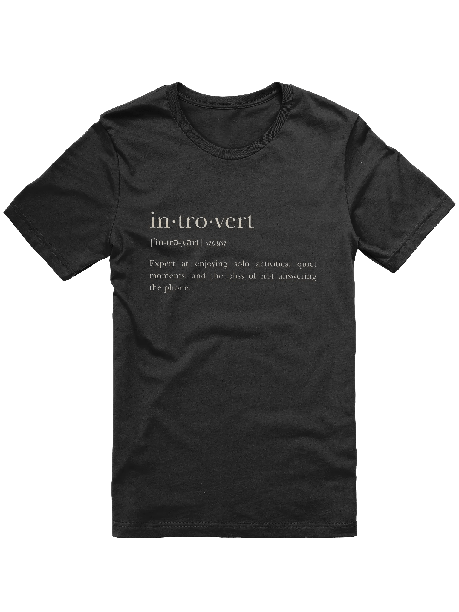 Introvert: Expert at Enjoying Solo Activities T-Shirt product image (2)