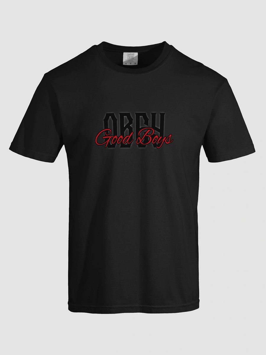 Good Boys Obey T-Shirt product image (37)