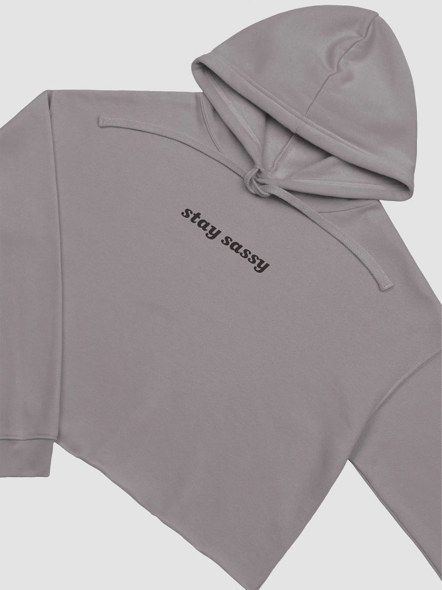 Stay Sassy Cropped Hoodie - Grey product image (3)