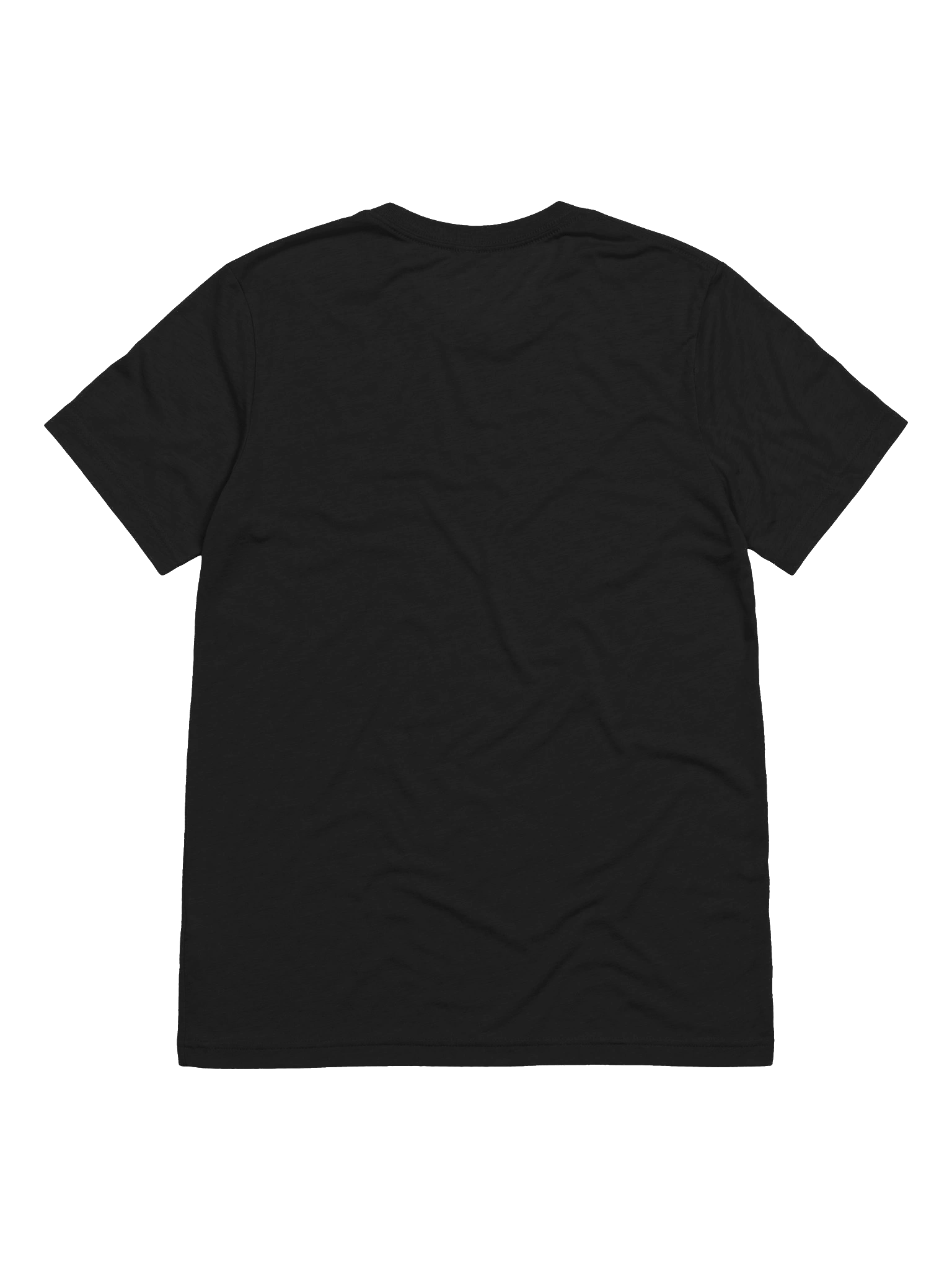 Excerpts from an Unknown Guidebook - Adult Bella+Canvas Triblend Short Sleeve T-Shirt product image (2)