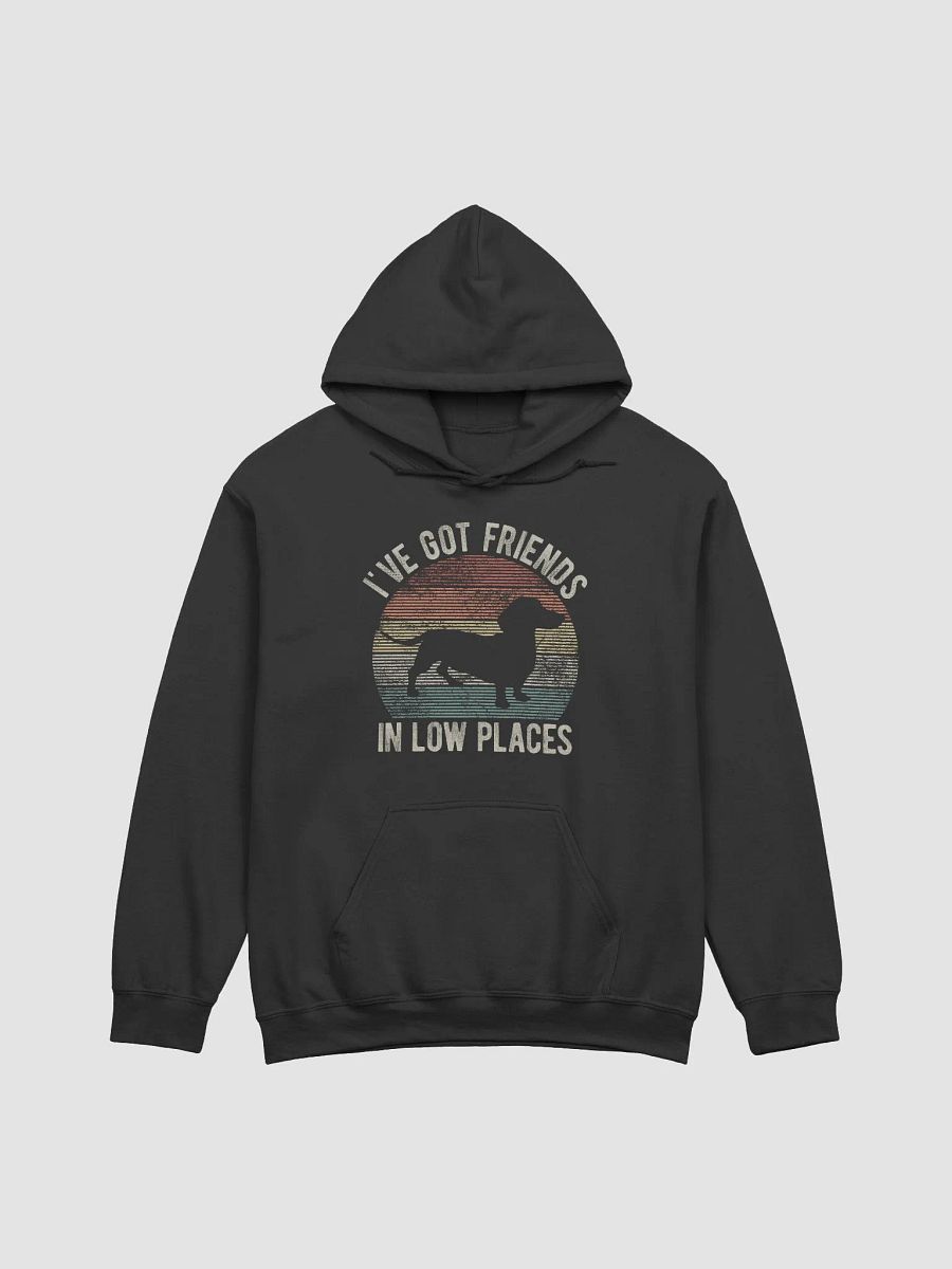 I've Got Friends in Low Places Dachshund Hooded Sweatshirt | Funny Vintage-Style Hoodie for Wiener Pawrents product image (3)