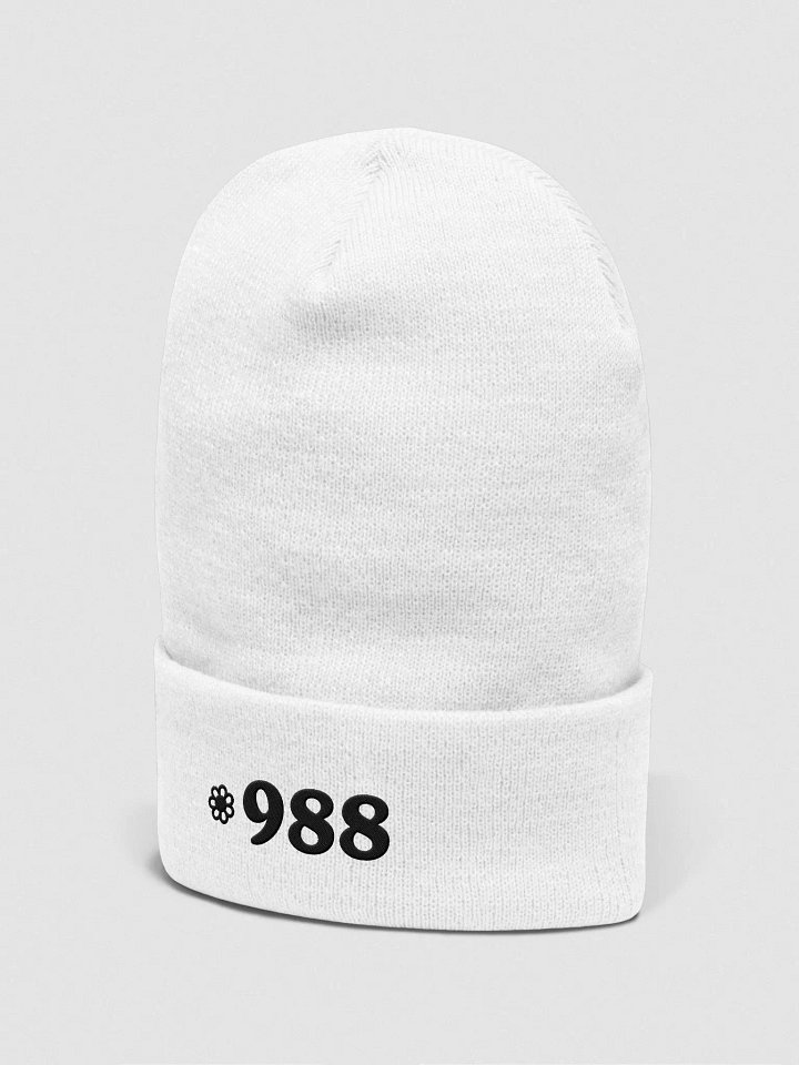 988 (Yupoong Cuffed Beanie) product image (17)