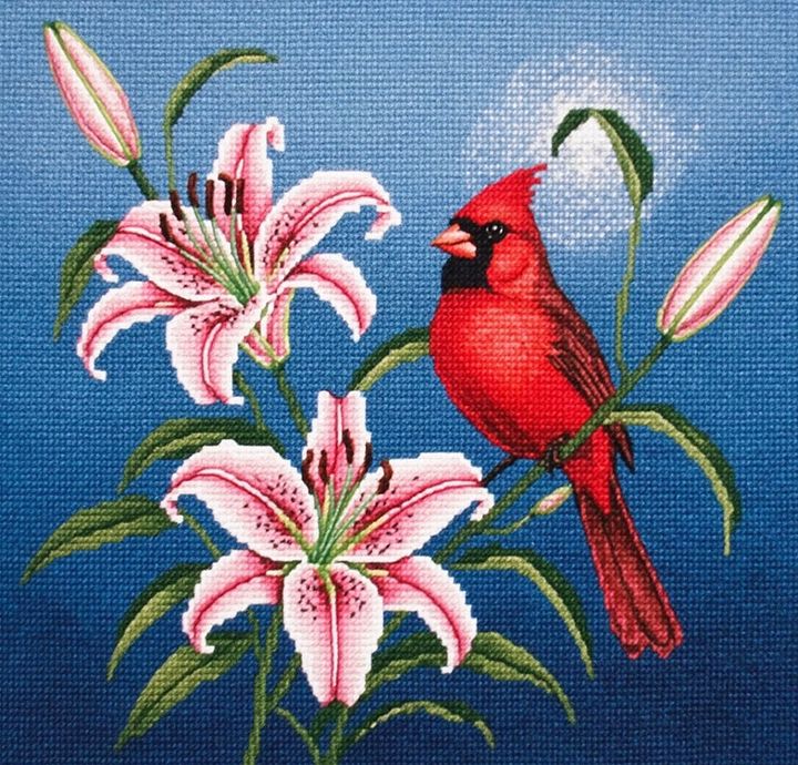Stargazers Northern Cardinal product image (1)
