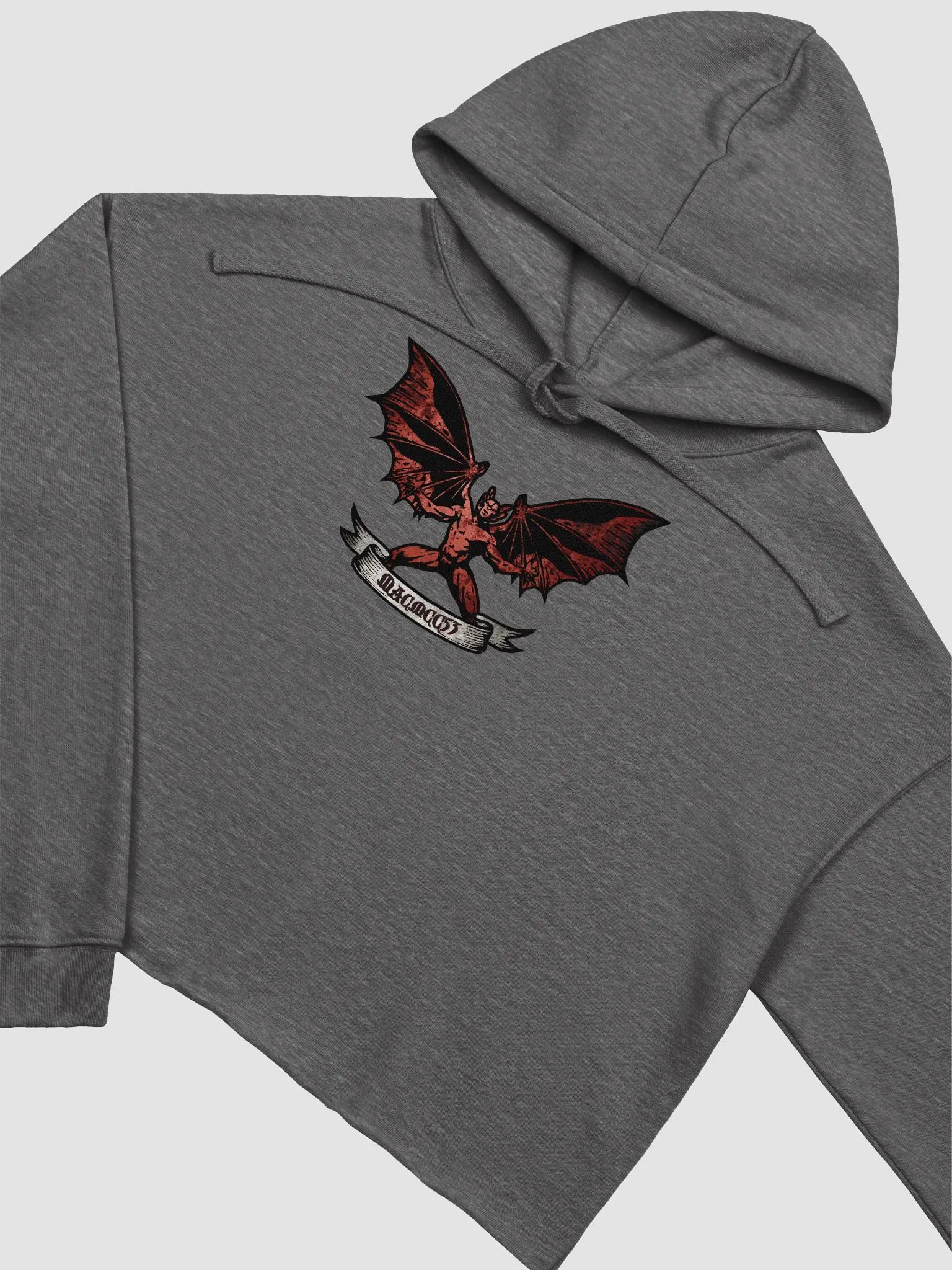 ReVamp Logo CropTop Hoodie product image (4)