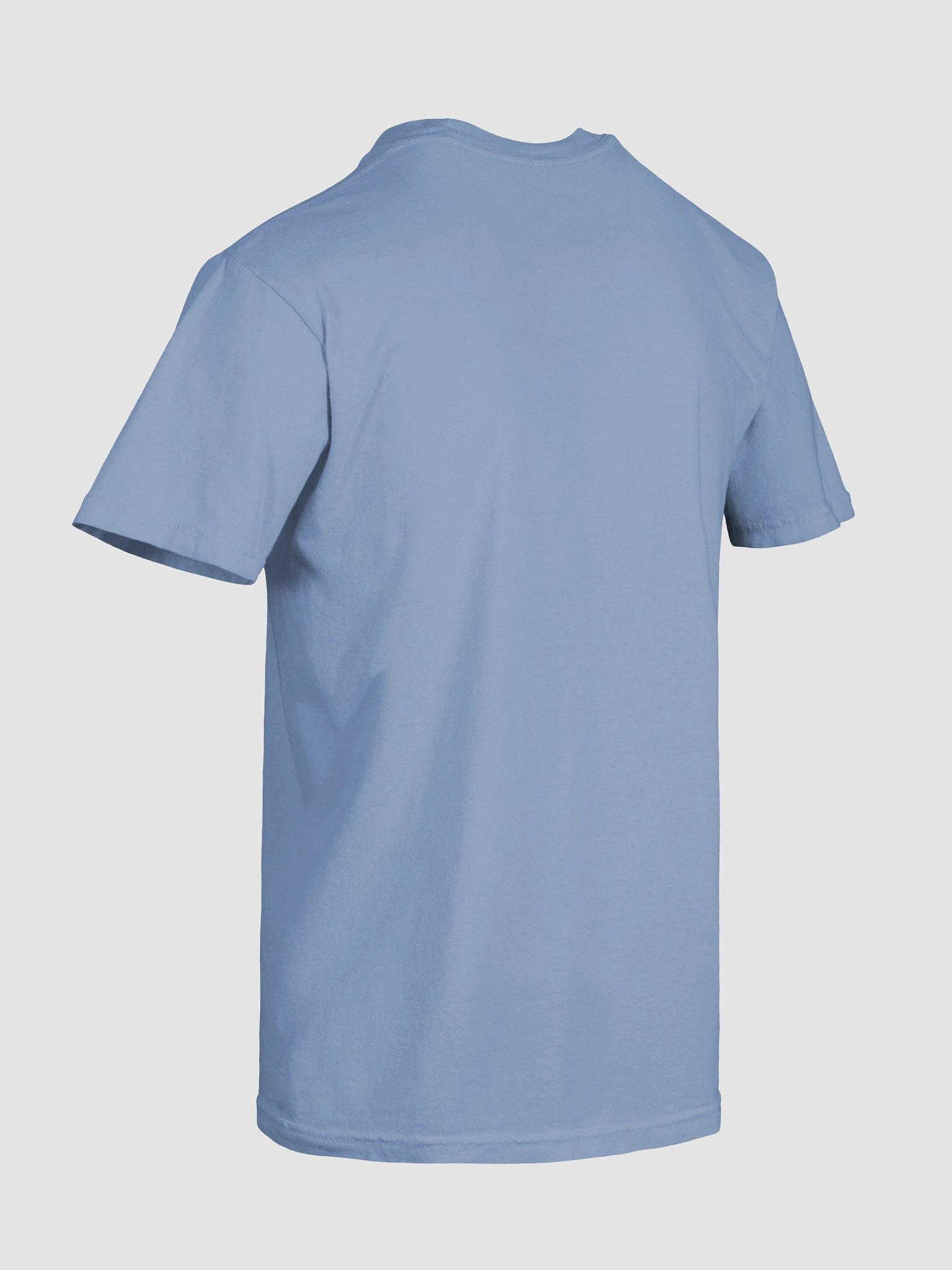 Magpie Here's the Thing - Subtle Tee product image (44)