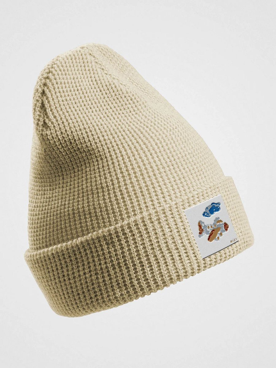 Kid Airplane (Richardson Waffle Beanie) product image (14)