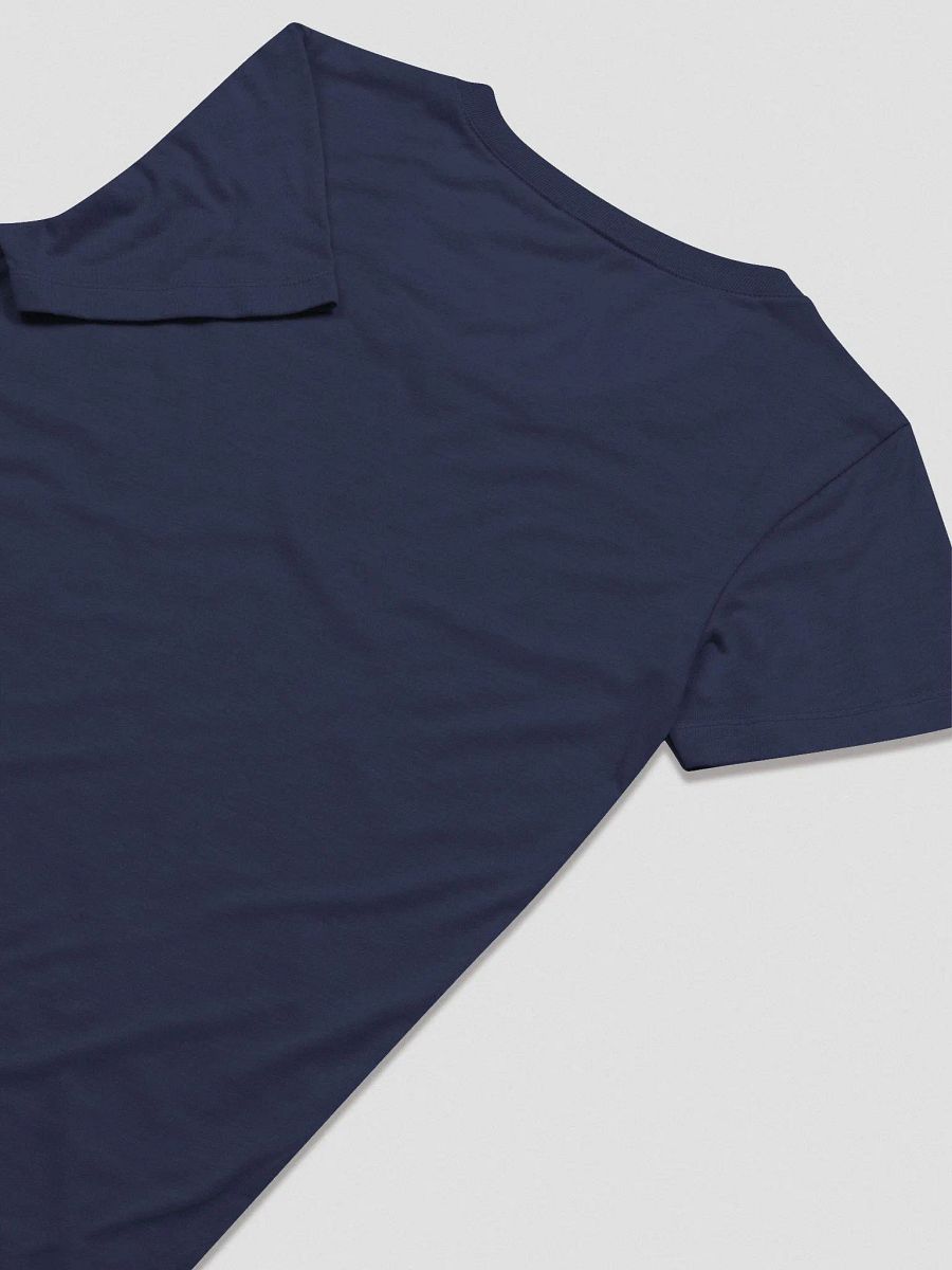 Fancy College T-Shirt (Women's Triblend) product image (7)