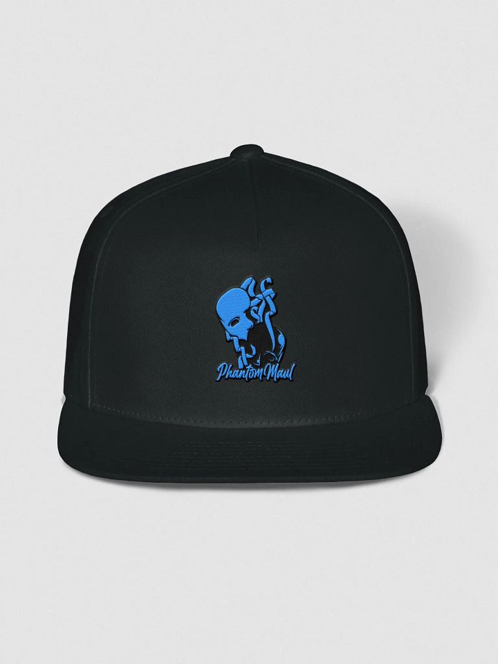 Blue Logo Snap-Back product image (1)