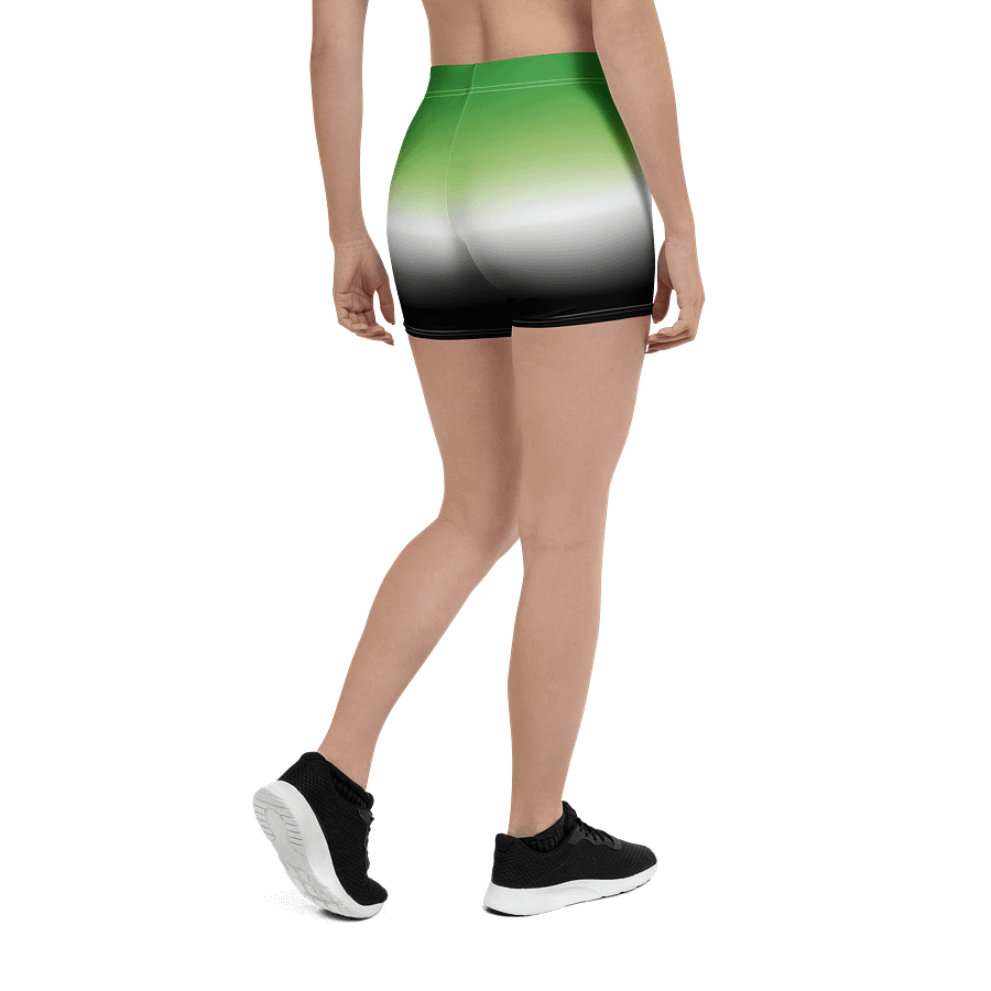 Aromantic Pride Gradient Bike Shorts product image (2)