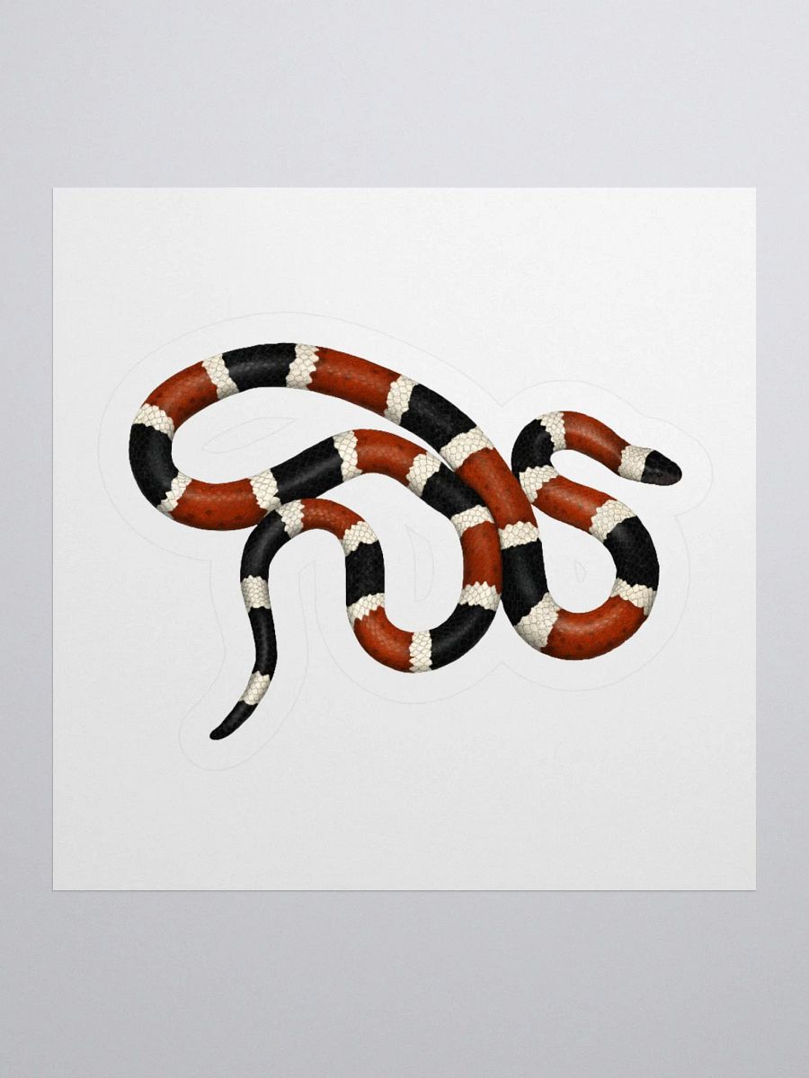 Die-Cut Sticker – Sonoran Coralsnake product image (1)