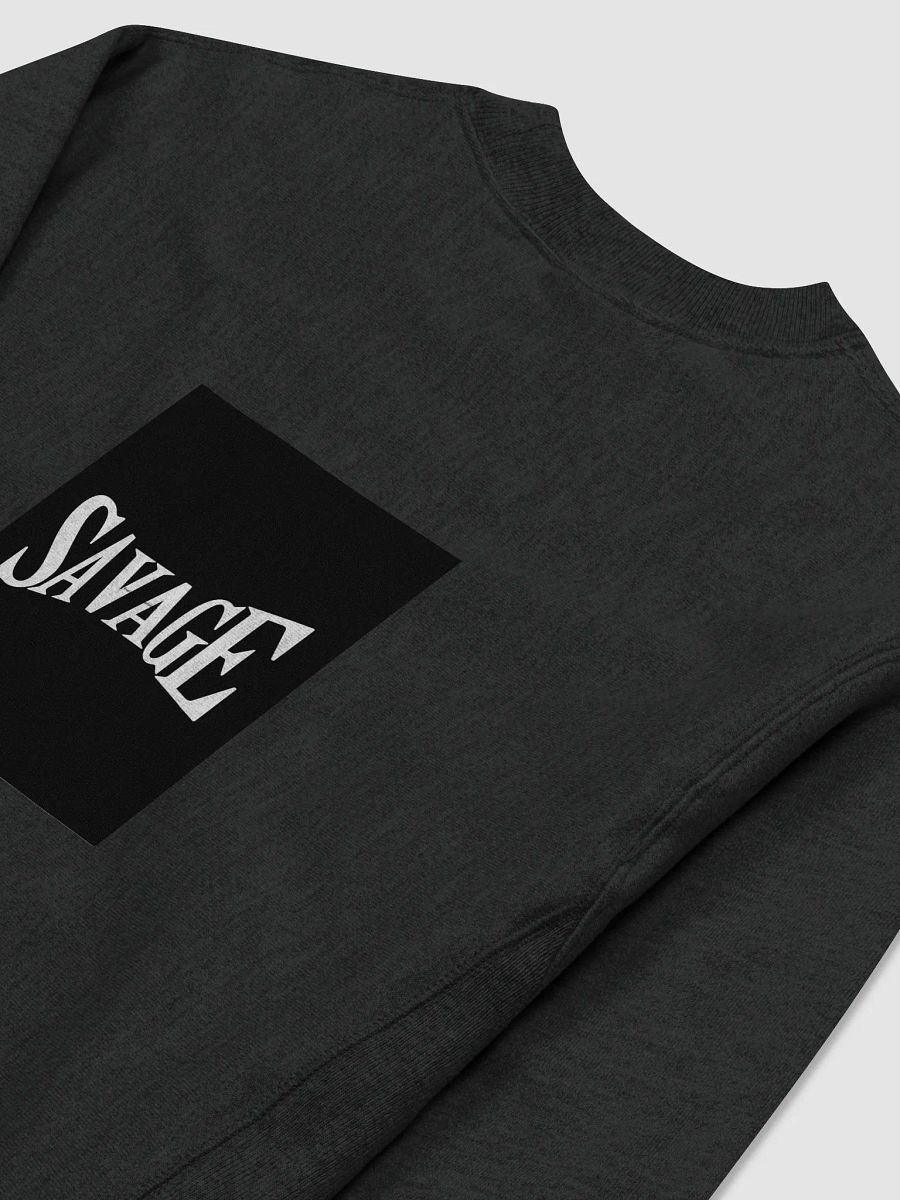 Distortion Champion Sweatshirt product image (4)