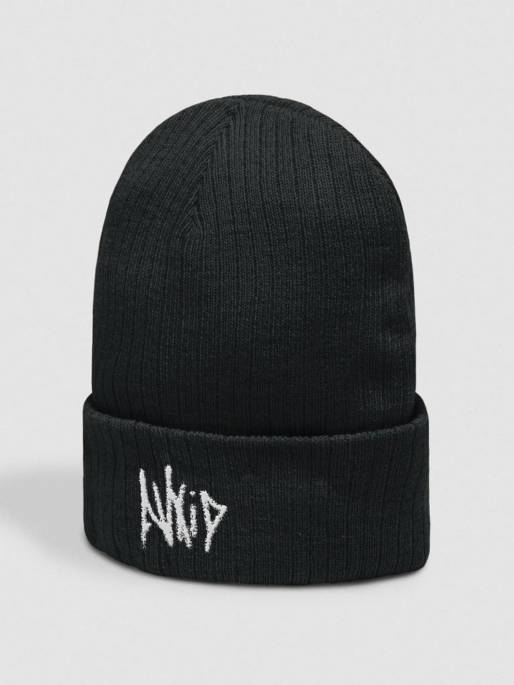 AVXiD Logo Beanie product image (2)