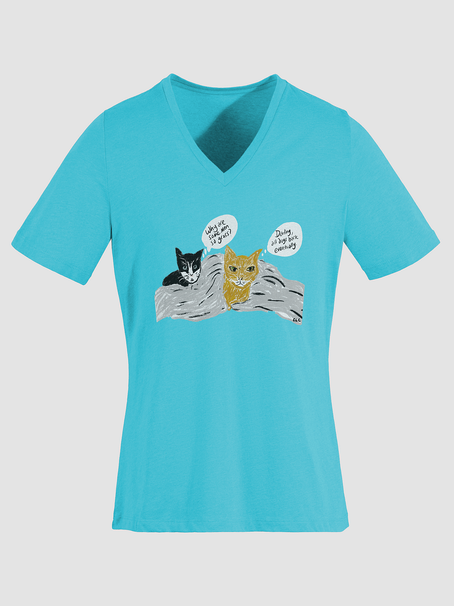 Kitties Thoughts on Men V-neck tee product image (41)