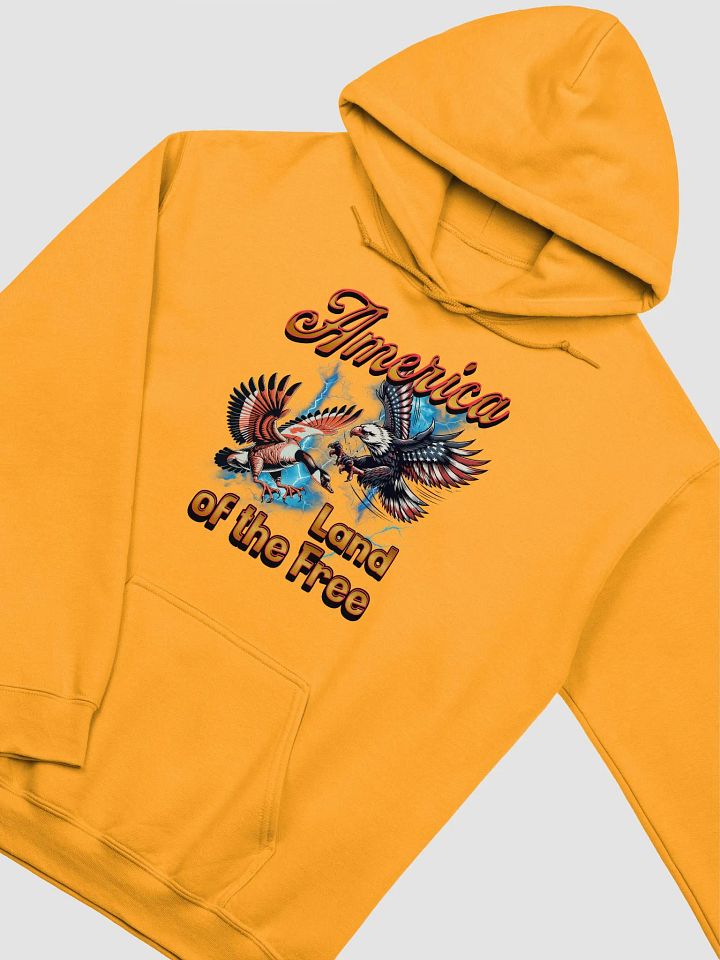 America Land Of The Free Freedom Flight Eagle Hoodie product image (6)
