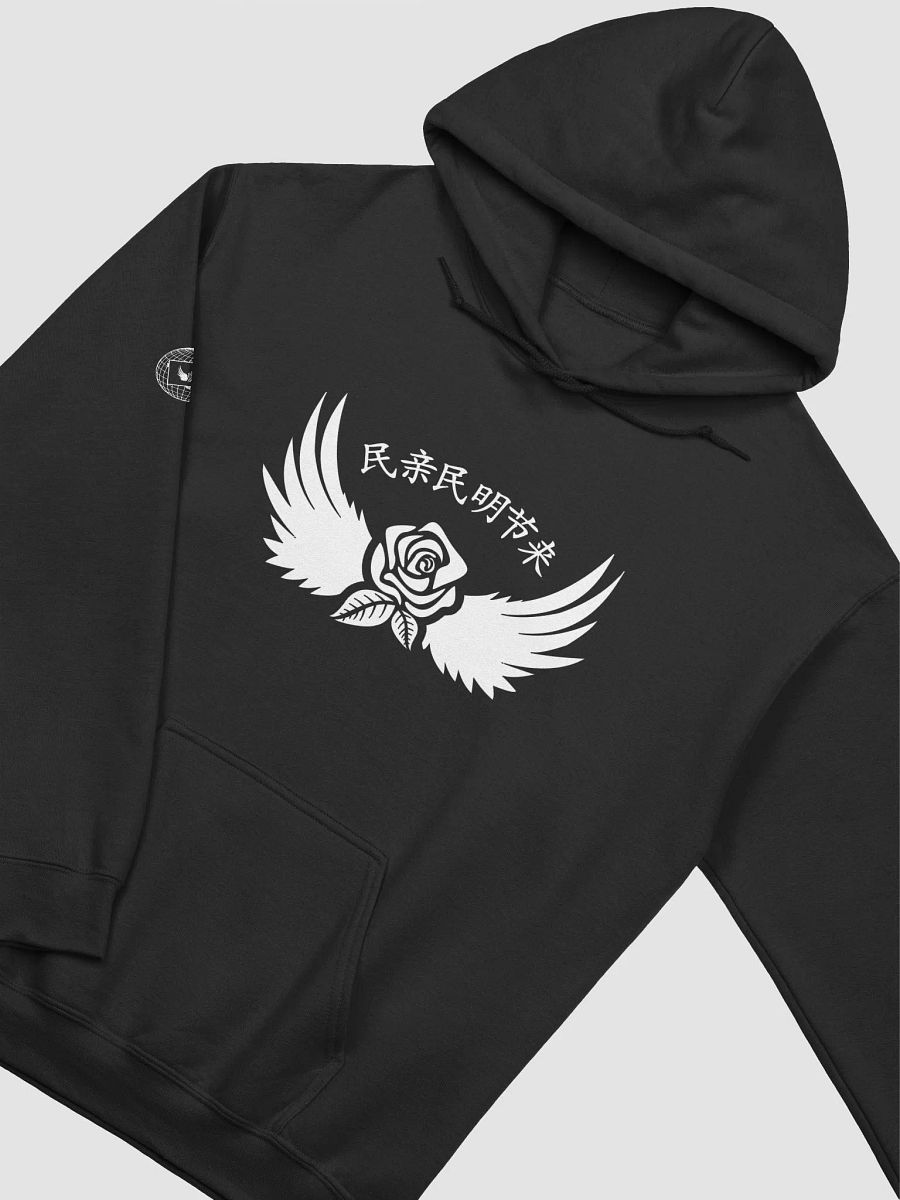 System Worldwide Hoodies product image (3)