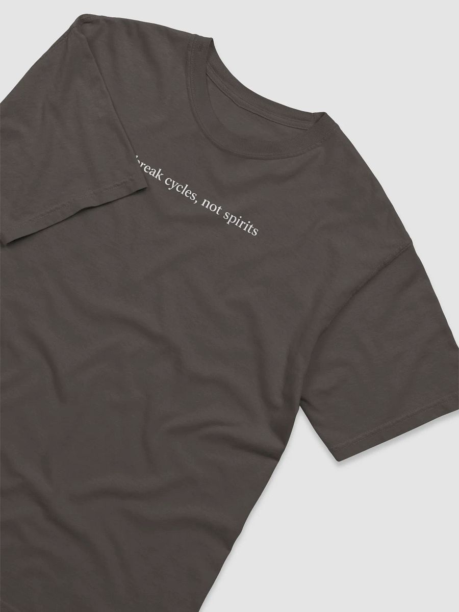 Break Cycles Not Spirits Tee product image (8)