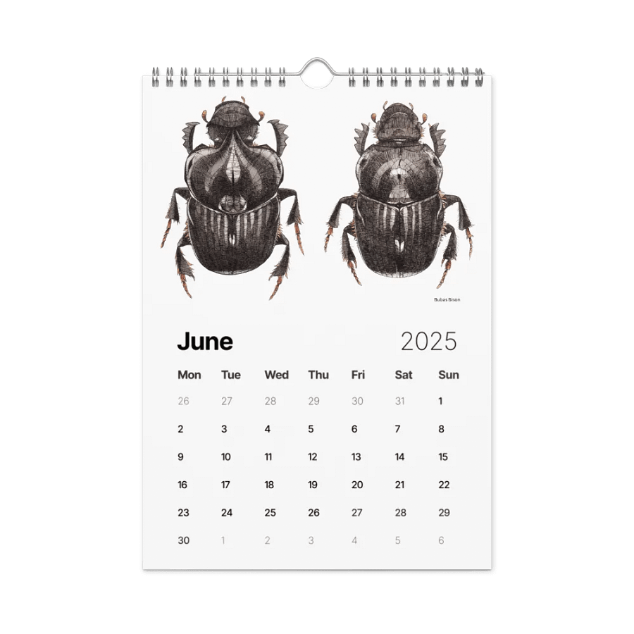 INSECTUM ABSTRACTUS - 2025 Calendar product image (10)