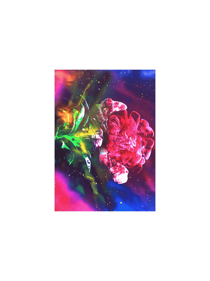 Galaxy Rose - Print product image (1)