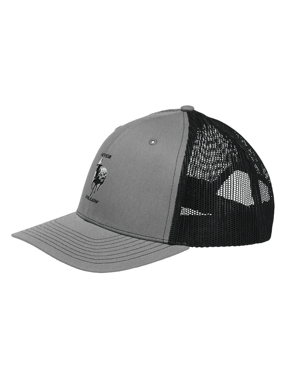 Webs & Shadows Black Sheep Trucker Hat product image (2)