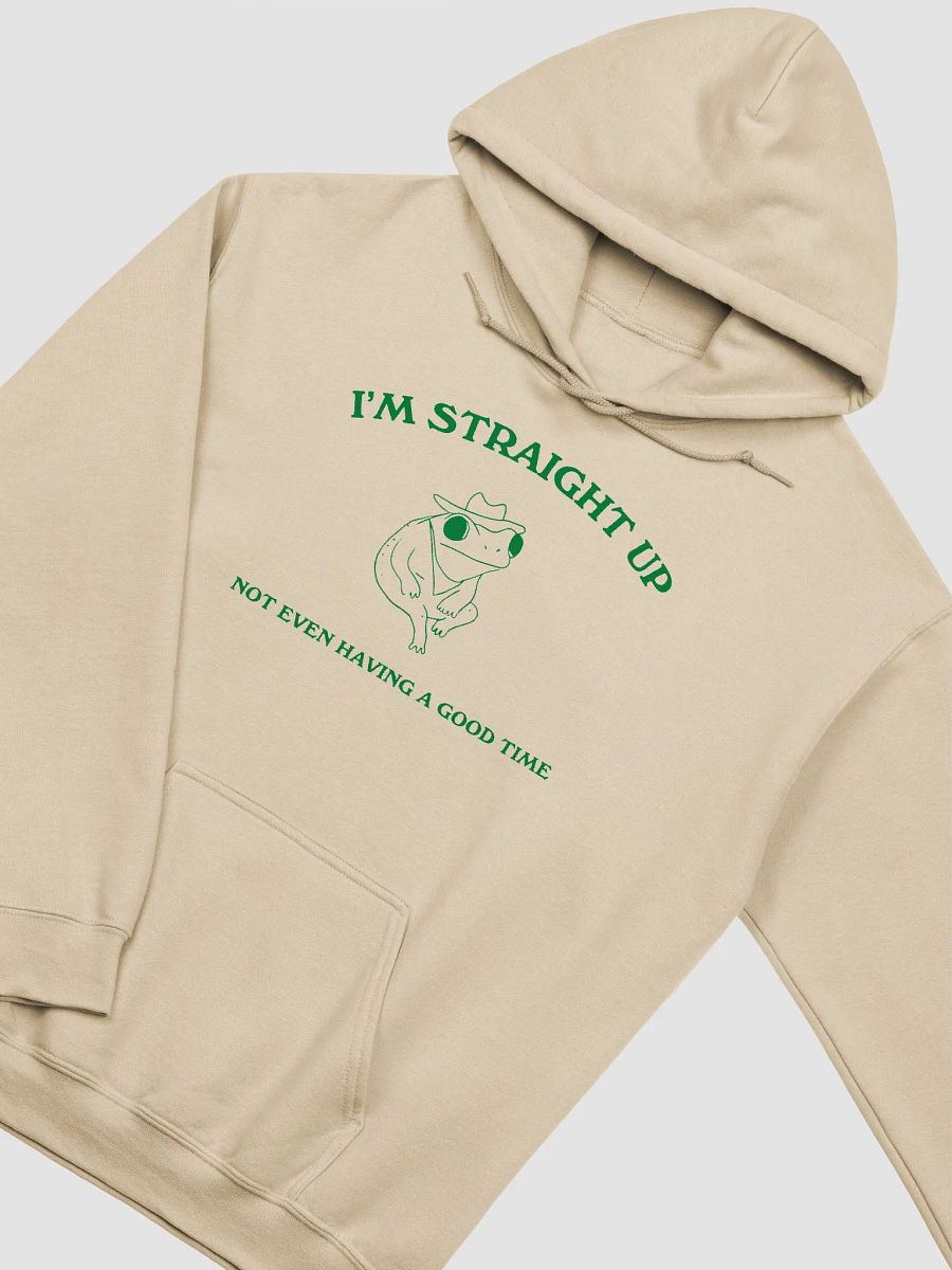 Im straight up not even having a good time Hoodie product image (3)
