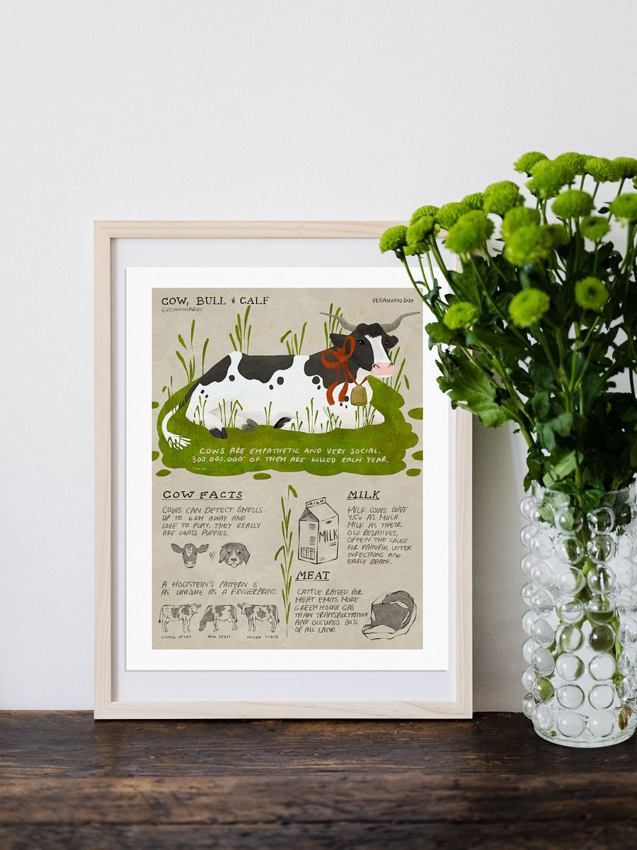 Cow, Bull & Calf Educational Print – Veganuary 2024 product image (1)