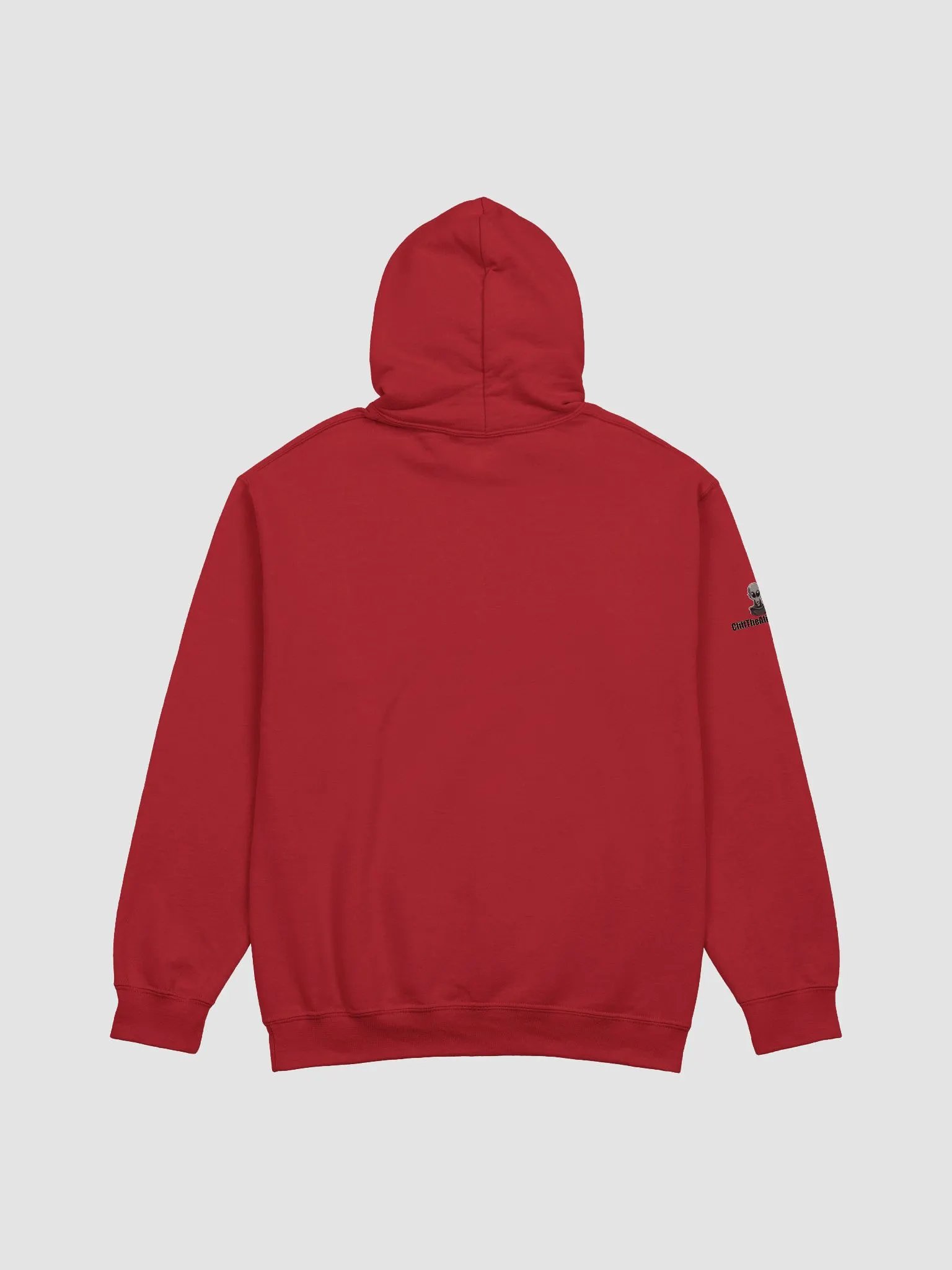 No Large Coolers - Hoodies product image (2)