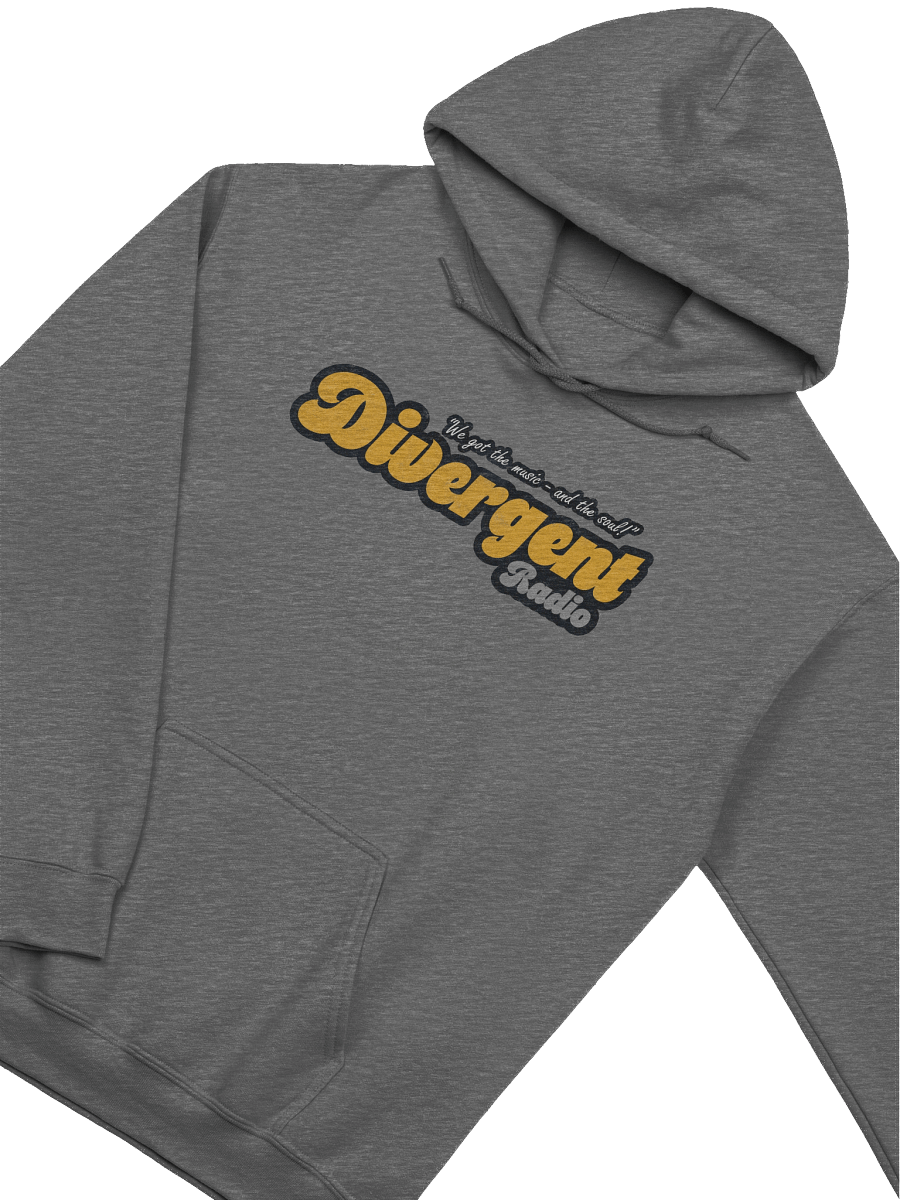 Divergent Radio Hoodie product image (3)