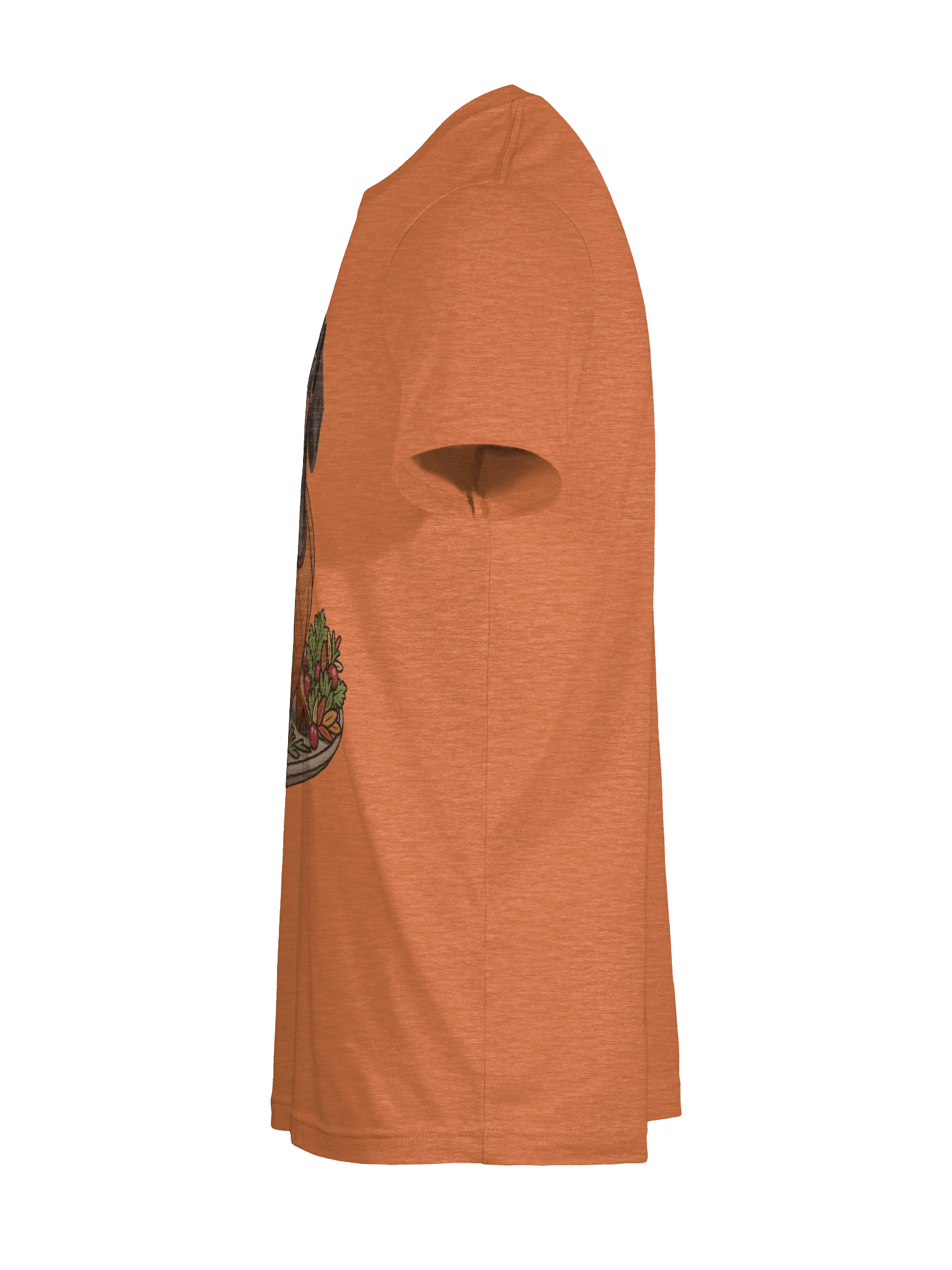 Thanksgiving Turkey Dachshund T-Shir product image (21)