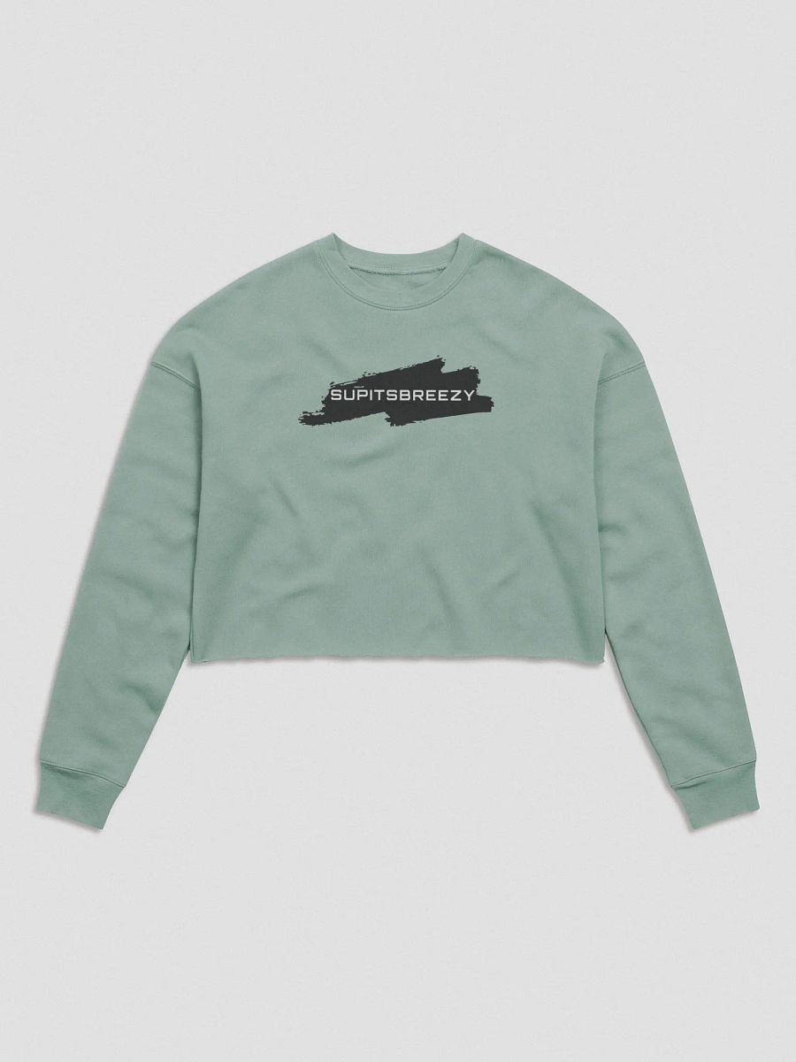 Breezy Logo Crop-Sweater! product image (1)